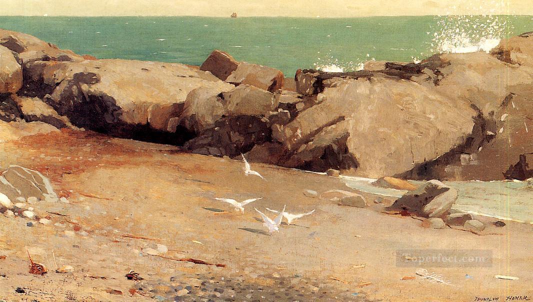 Rocky Coast and Gulls Realism marine painter Winslow Homer Oil Paintings